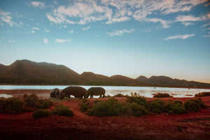 SUNRISE BREAKFAST - PHOTO PRINT